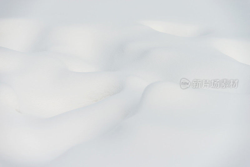 白雪背景的特写