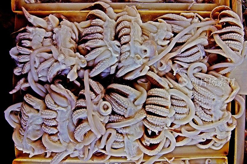 新鲜鱿鱼-曼谷新鲜市场。