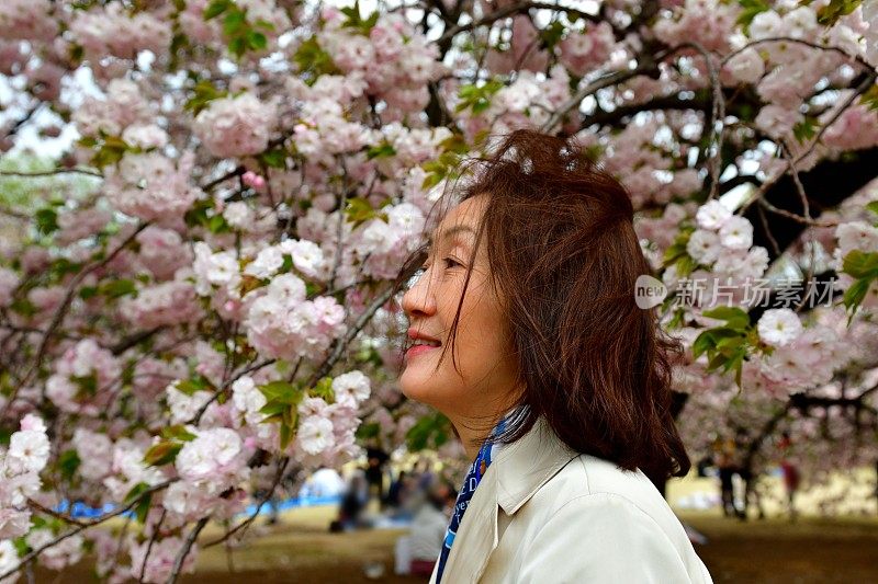 日本女子在东京赏樱花