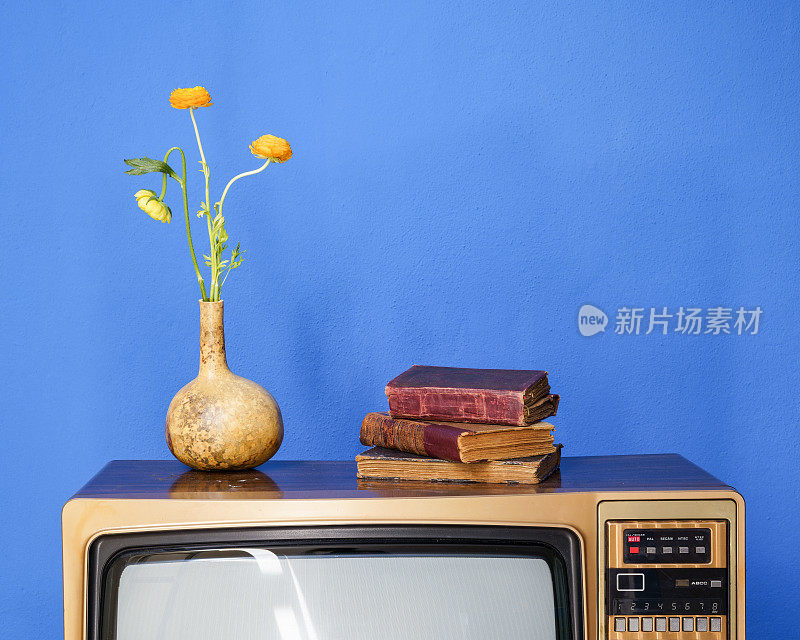 古董精装书和葫芦花瓶中的毛茛花老式电视