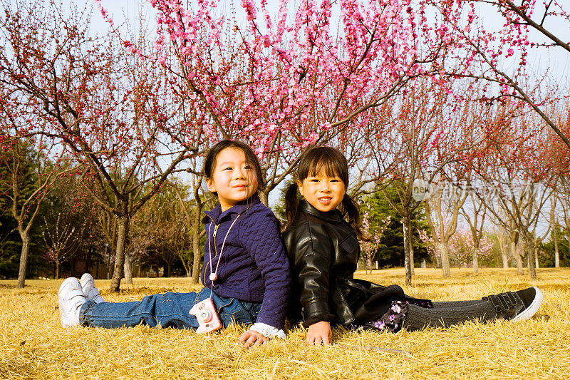 两个年轻的女孩坐在草地上