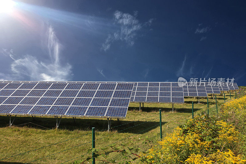 太阳能电池板发电厂的野外农场