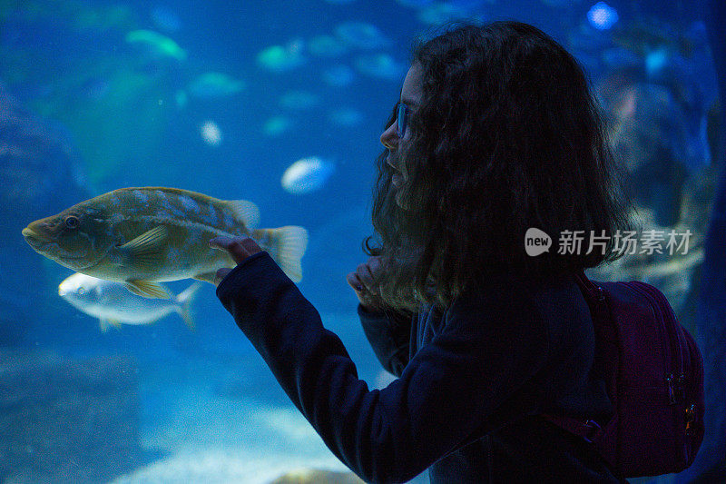 小女孩在鱼缸里看鱼