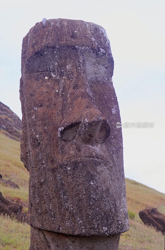 在死火山拉诺拉库山坡上的摩埃石像