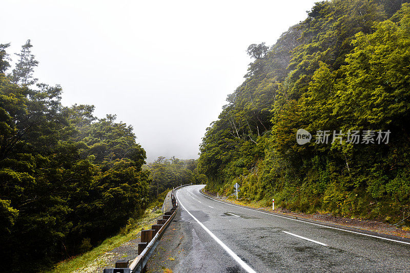 空旷的雨湿的道路被茂密的森林包围