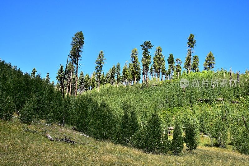 风景大峡谷NP