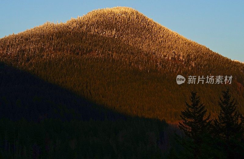 胡德山国家森林