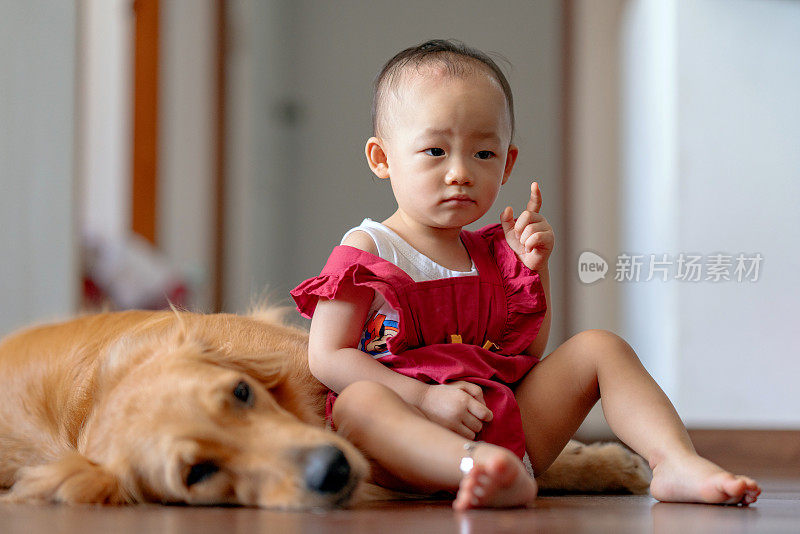 亚洲幼童与狗的关系