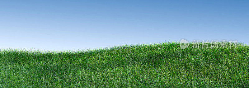 绿色的草和蓝色的天空