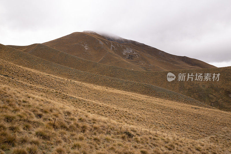 新西兰南岛林迪斯山口干燥干燥的山坡