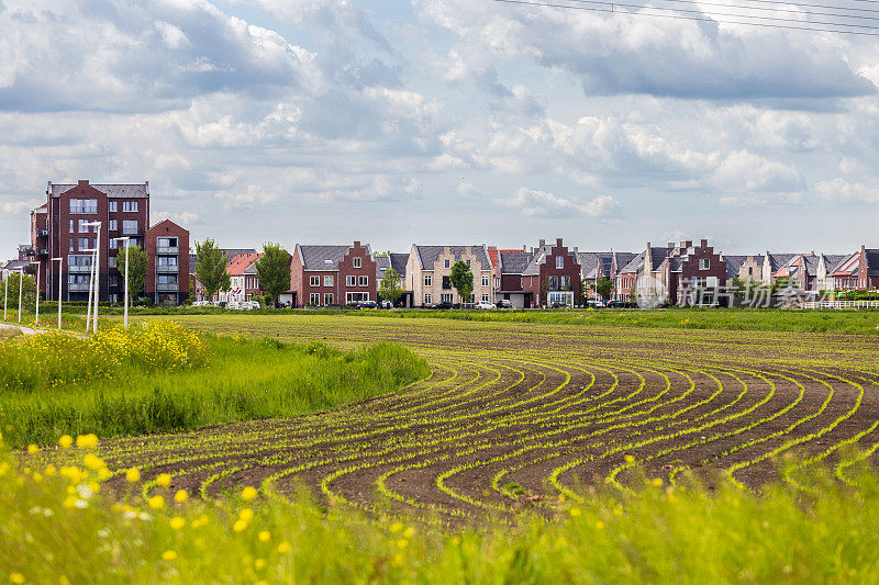 从农民的土地上看到的城市Bunschoten-Spakenburg