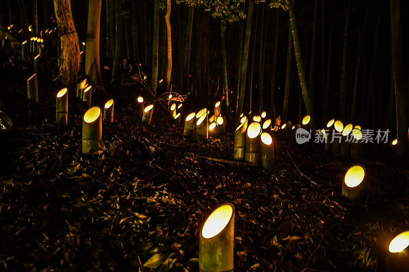 竹林(市民小桌城堡森林)的小口径灯