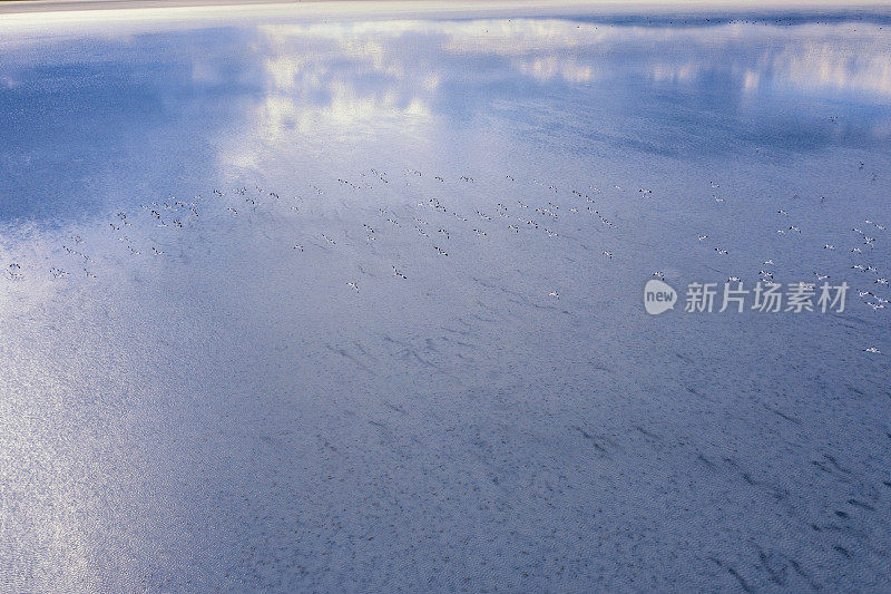 花衣精灵在湖上飞行