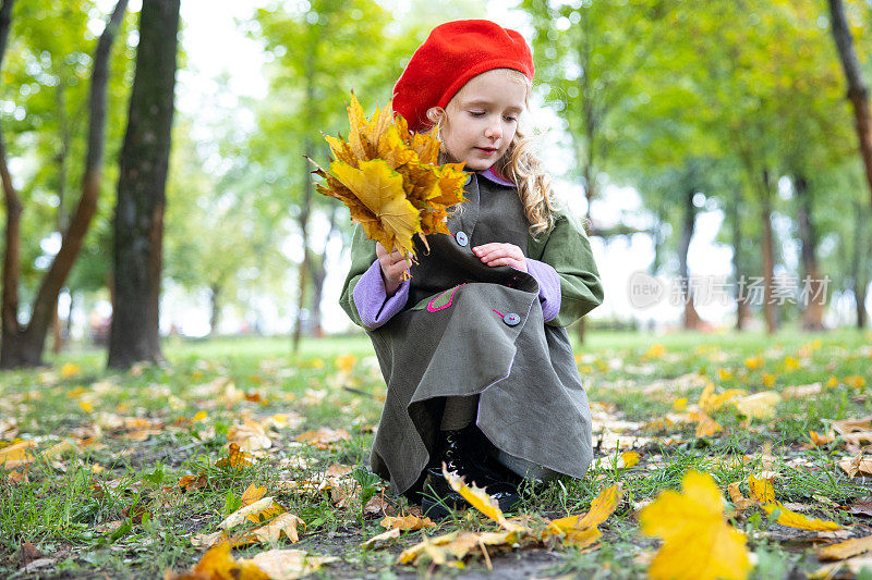 那孩子把黄色的枫叶收集成一束。