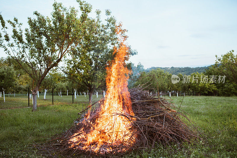 干枯的树枝在明亮的火焰中燃烧
