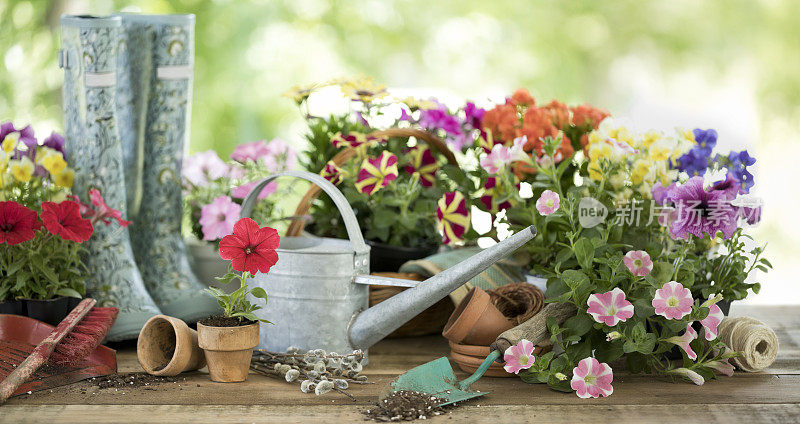花园工具和春天的花背景