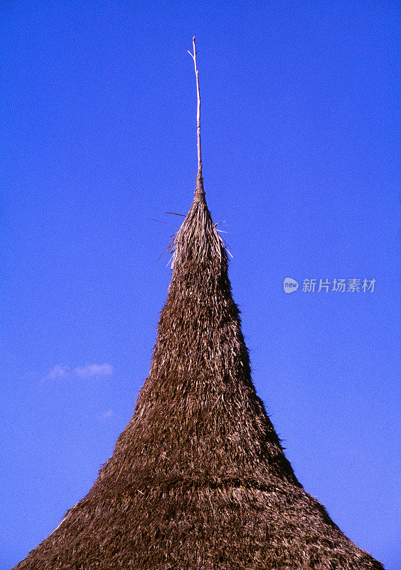 委内瑞拉当地小屋“Churuata”的特写