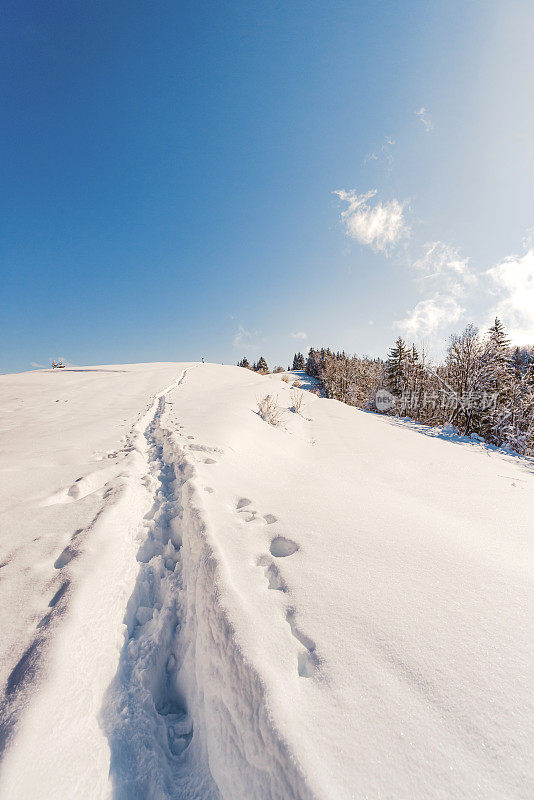 雪中新路