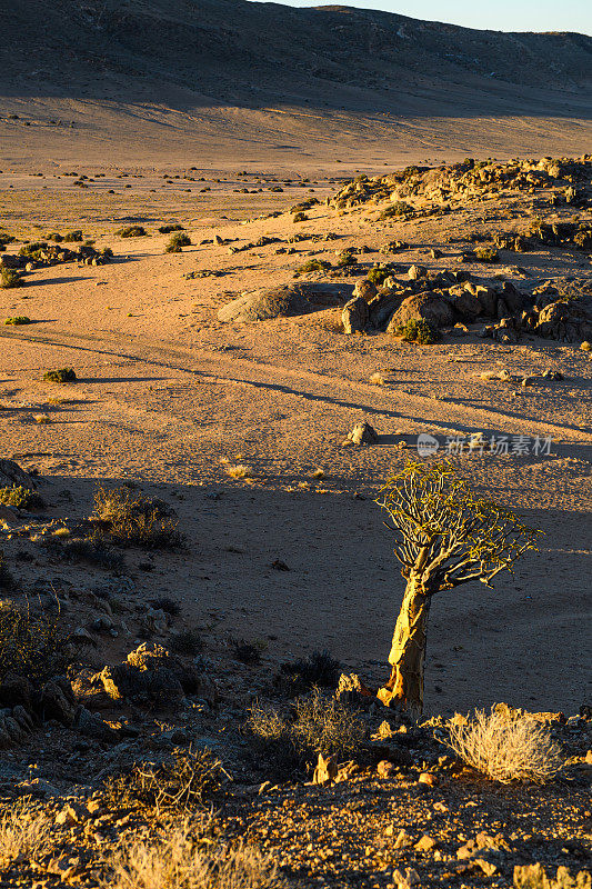 纳米比亚靠近Luderitz的纳米布沙漠荒凉的景观