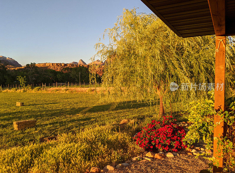 在犹他州洛克维尔傍晚的阳光下，后院的露台上盛开着报春花，俯瞰着锡安国家公园和牧场上刚捆好的干草