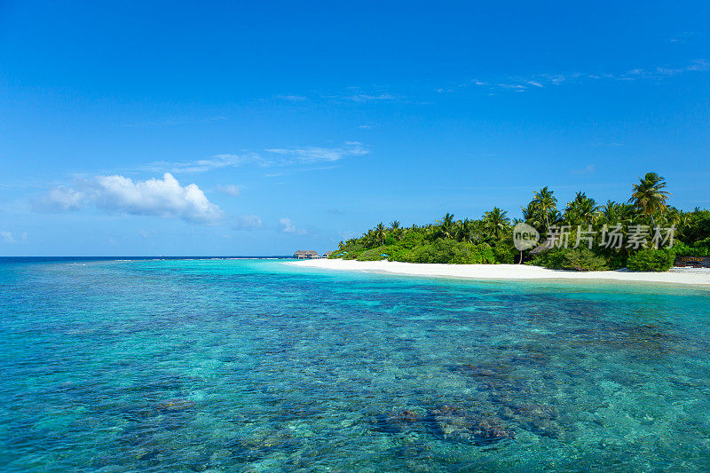 马尔代夫岛有着清澈的大海