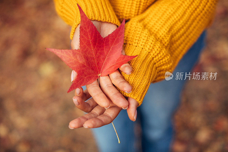 拿着一片秋叶的女人