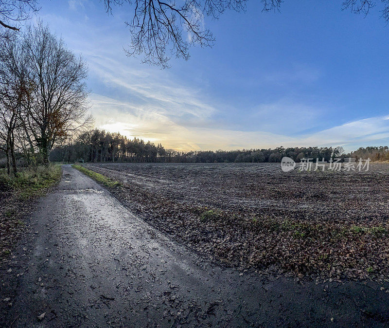 冬天在德国林根市，一条通往森林的小路紧挨着一片田野。