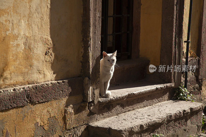 Ayvalık街道，老房子