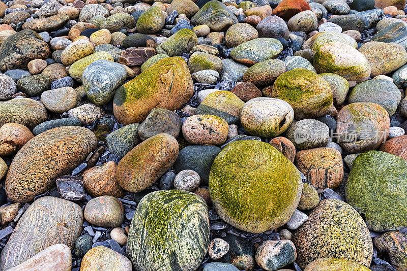 扫帚点的彩色鹅卵石。格罗斯莫恩国家公园，纽芬兰，加拿大