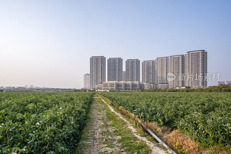 城郊的农业种植用地