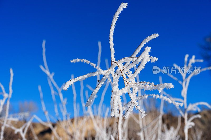 白霜景观