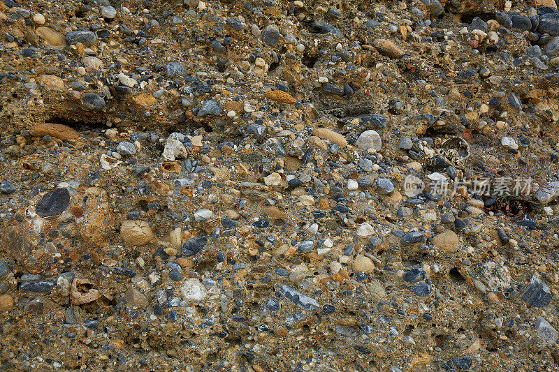 石质岩石由贝壳和砂岩组成。灰色的砂岩墙与分开的鹅卵石。用石头砌成的墙的倒刺纹理。Coquina背景的古老化石