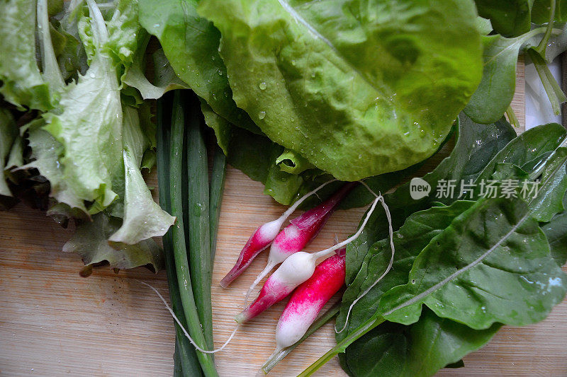 生菜、香葱、芝麻菜和萝卜放在厨房的木板上