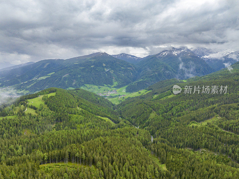 阿尔卑斯山中部东部的山地景观中有松树林