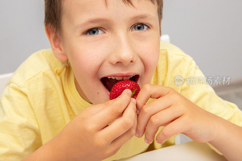 一个穿黄色t恤的孩子一手拿着一个成熟的草莓，张开嘴吃浆果。健康饮食的概念