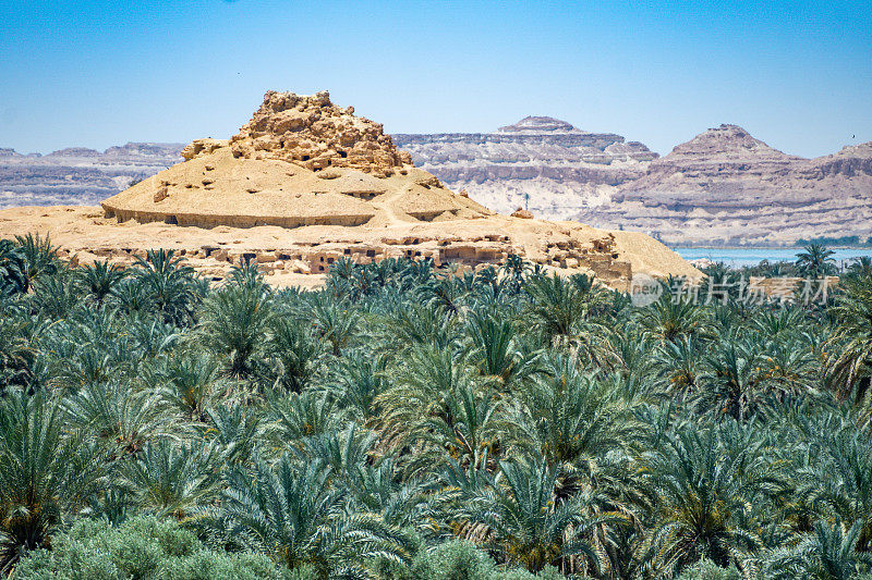 死亡之山，锡瓦绿洲，利比亚沙漠，埃及