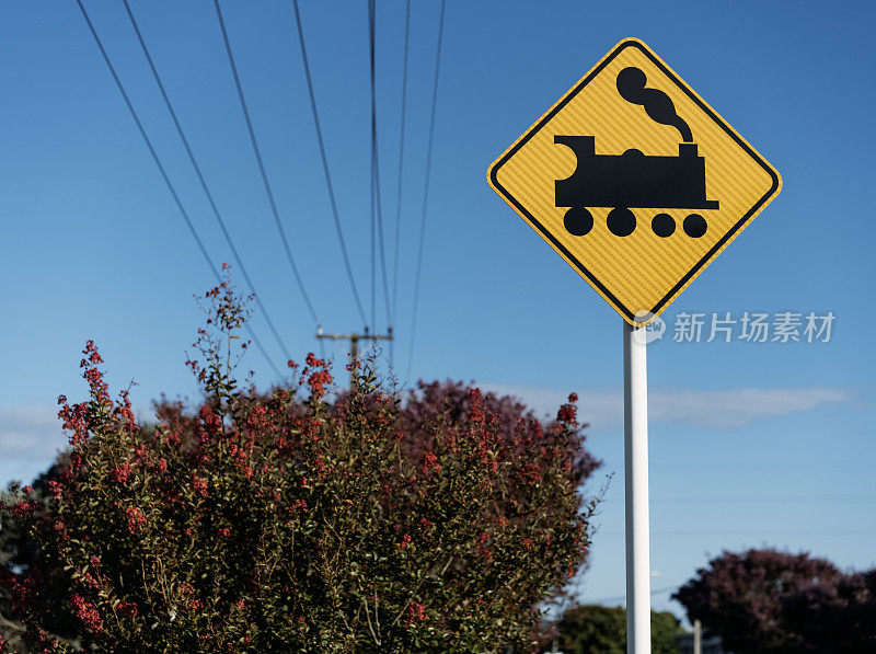 在晴朗的天空下，电线和盛开着红花的灌木丛映衬着一个铁路十字路口的标志。