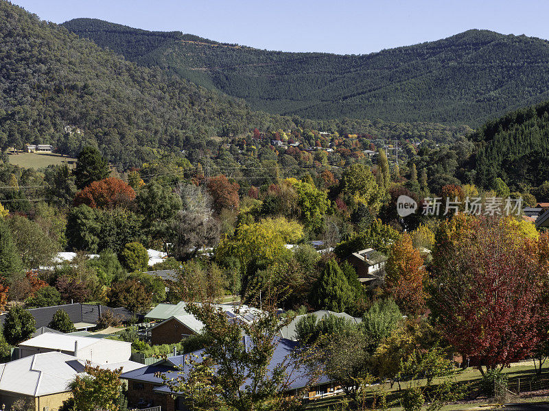 城市社区的屋顶