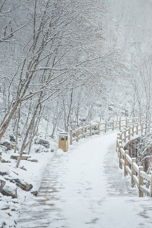 美丽的自然景观黄龙和九寨沟国家公园与惊人的雪在中国四川