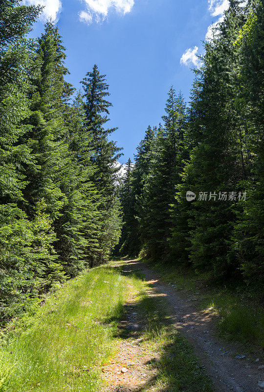 皮林山的乡村公路