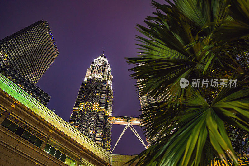2018年11月18日，马来西亚吉隆坡:棕榈树和吉隆坡skyscrapers