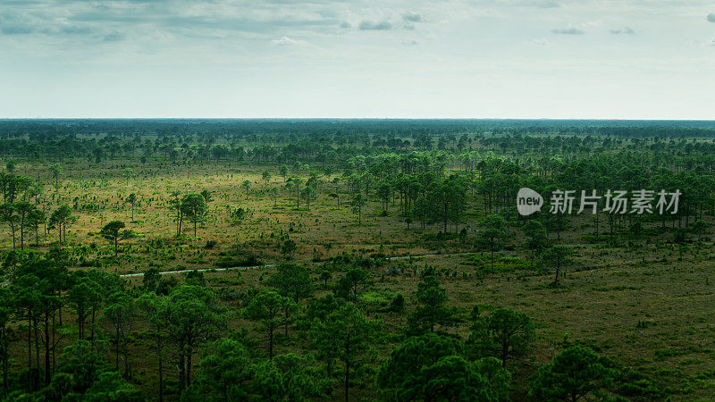佛罗里达州夏洛特县的自然保护区的无人机视图