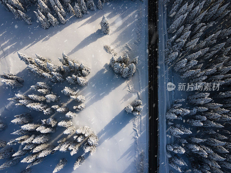 雪道通过冬季森林，鸟瞰