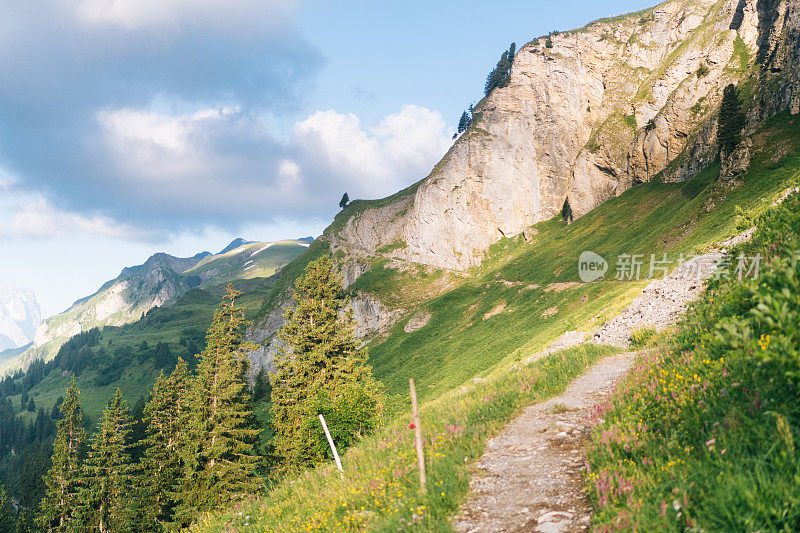 郁郁葱葱的草地和山路