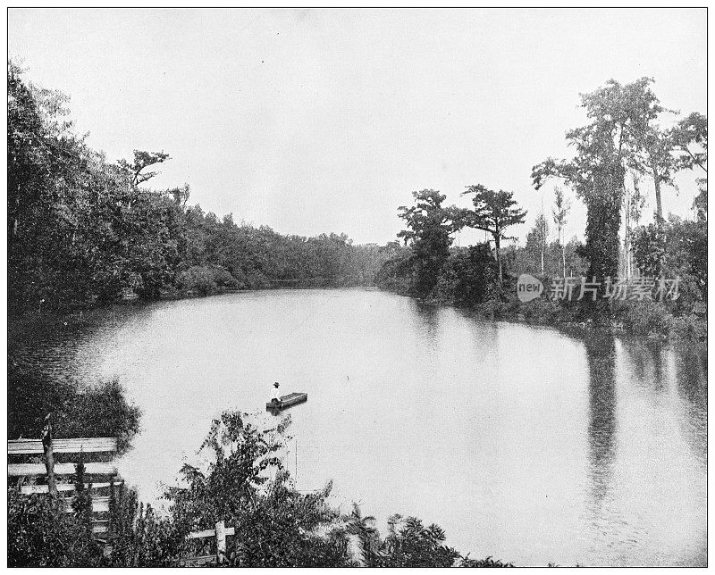 美国地标的古老黑白照片:密西西比河口风光