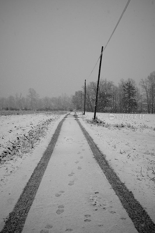 公园在冬天下雪