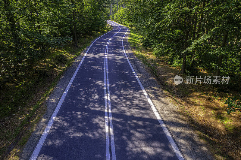 鸟瞰绿色森林中的山路