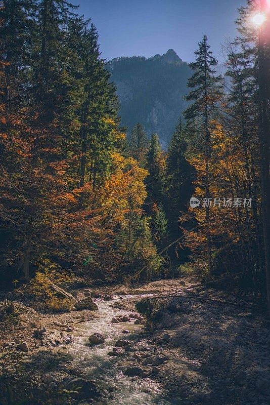 河流流经秋天的森林的风景