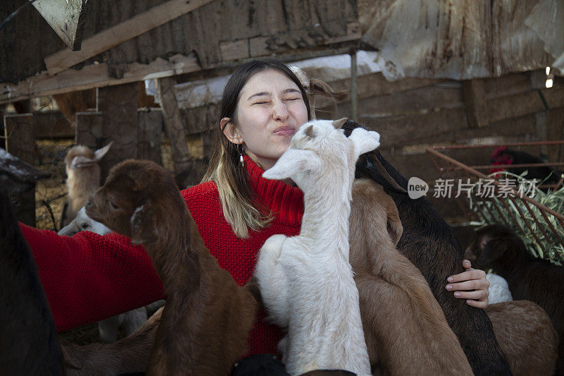 喜欢小山羊的小女孩