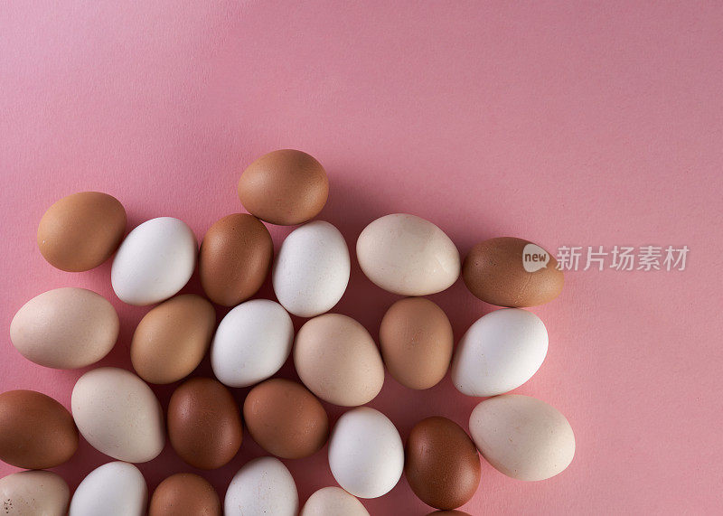 在粉红色的背景下，鸡蛋有不同的颜色